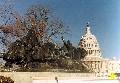 Washington Feb 78