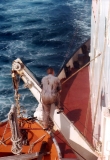 Deckhand